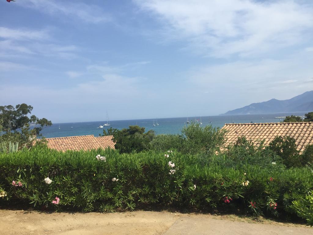 Residence Fior Di Rena Saint-Florent  Exteriör bild
